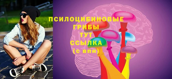 PSILOCYBIN Балахна