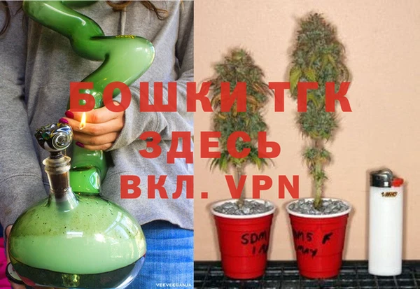 сатива Баксан