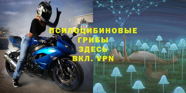 PSILOCYBIN Балахна