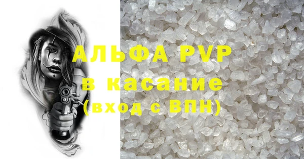 сатива Баксан